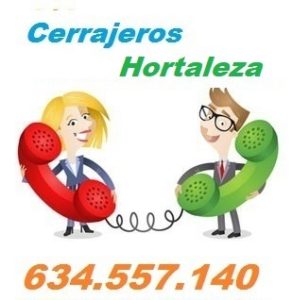 Cerrajeros Hortaleza calle pedro alonso